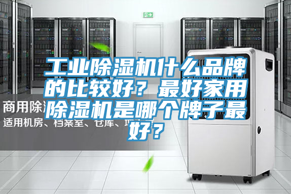 亚洲欧美一级特黄大片 工业除湿机什么品牌的比较好？最好家用除湿机是哪个牌子最好？