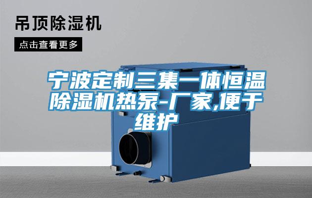 亚洲人成综合第一网站 宁波定制三集一体恒温除湿机热泵-厂家,便于维护