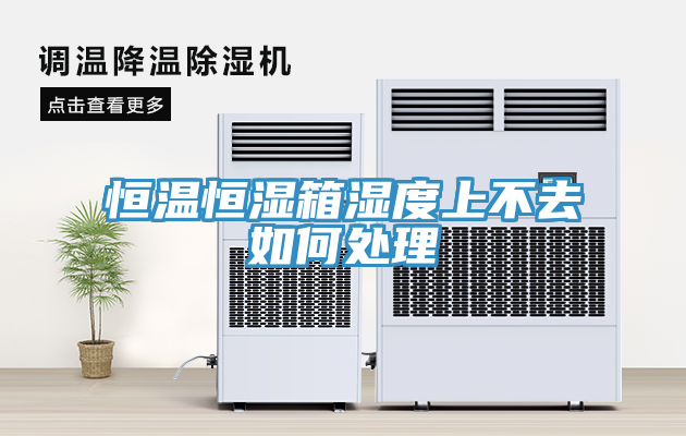 亚洲欧美一级特黄大片 恒温恒湿箱湿度上不去如何处理