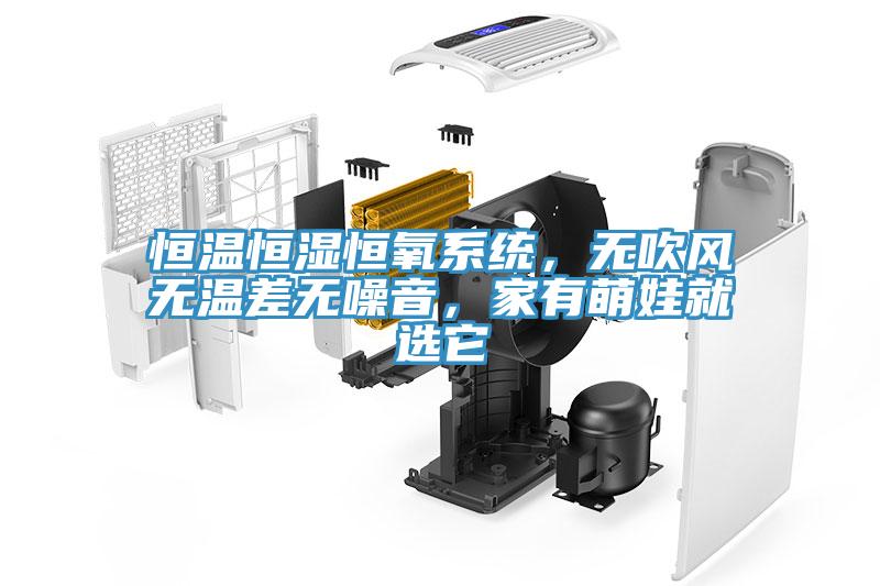 亚洲欧美一级特黄大片 恒温恒湿恒氧系统，无吹风无温差无噪音，家有萌娃就选它