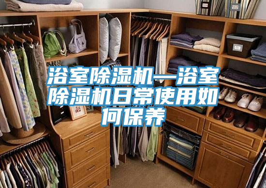 亚洲人成综合第一网站 浴室除湿机—浴室除湿机日常使用如何保养