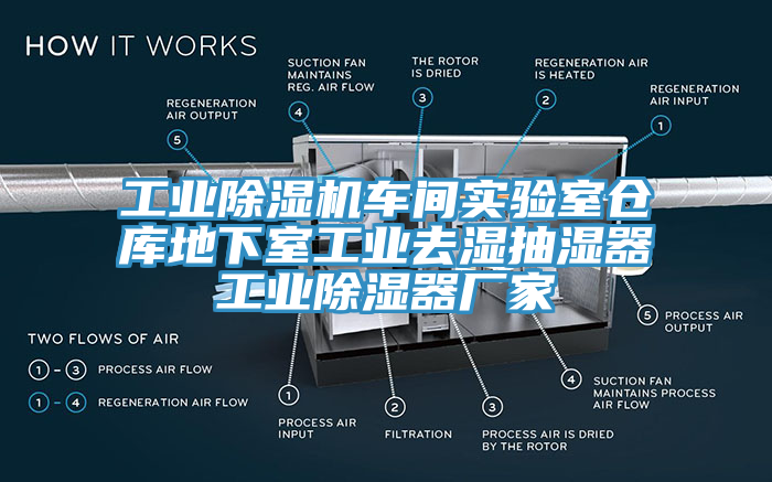 亚洲欧美一级特黄大片 工业除湿机车间实验室仓库地下室工业去湿抽湿器工业除湿器厂家