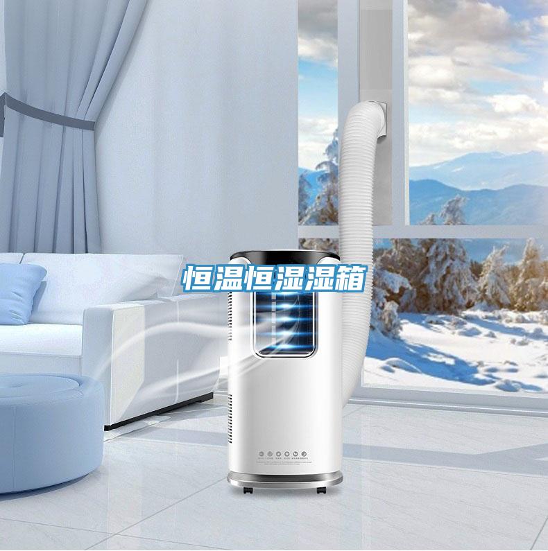 恒温恒湿湿箱