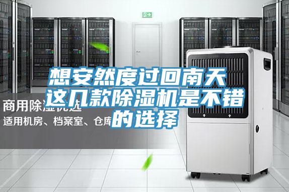 亚洲人成综合第一网站 想安然度过回南天 这几款除湿机是不错的选择