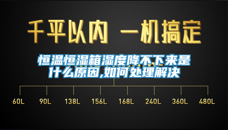 亚洲欧美一级特黄大片 恒温恒湿箱湿度降不下来是什么原因,如何处理解决