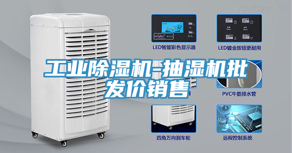 亚洲人成综合第一网站 工业除湿机-抽湿机批发价销售