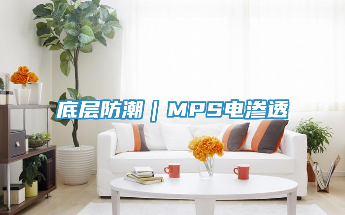 亚洲人成综合第一网站 底层防潮｜MPS电渗透