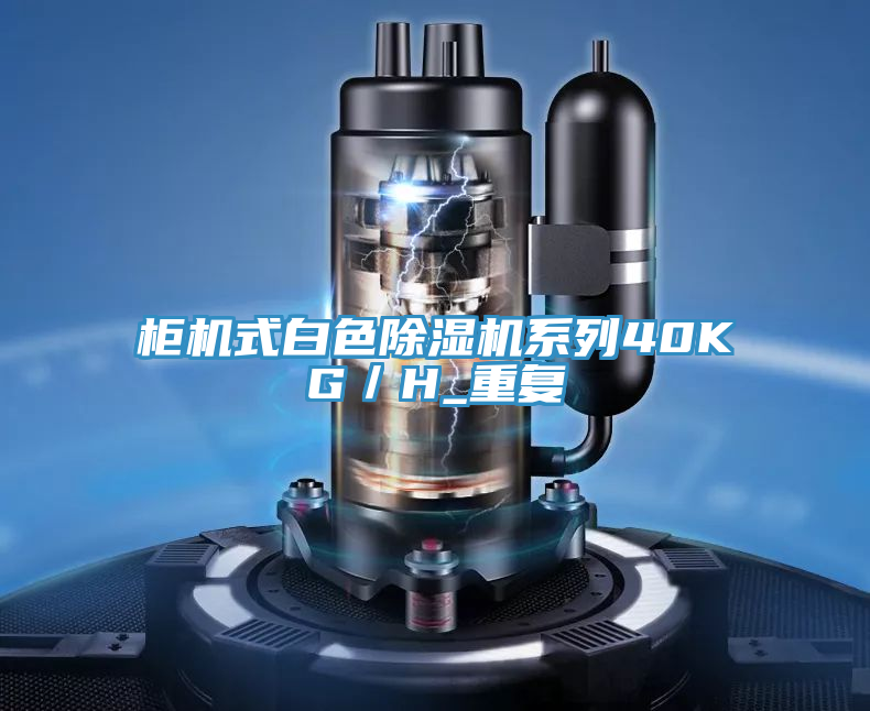 亚洲人成综合第一网站 柜机式白色除湿机系列40KG／H_重复