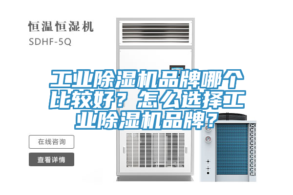 亚洲人成综合第一网站 工业除湿机品牌哪个比较好？怎么选择工业除湿机品牌？