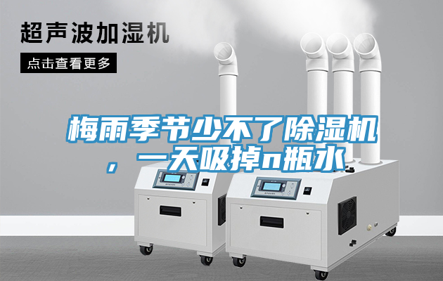 亚洲欧美一级特黄大片 梅雨季节少不了除湿机，一天吸掉n瓶水
