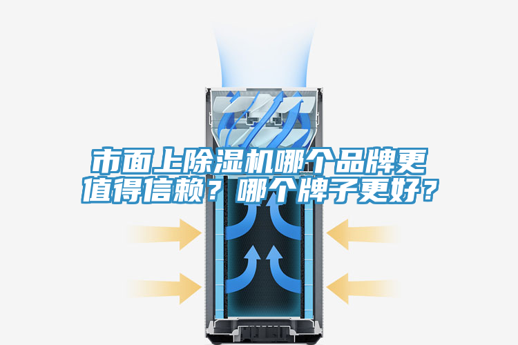 亚洲人成综合第一网站 市面上除湿机哪个品牌更值得信赖？哪个牌子更好？