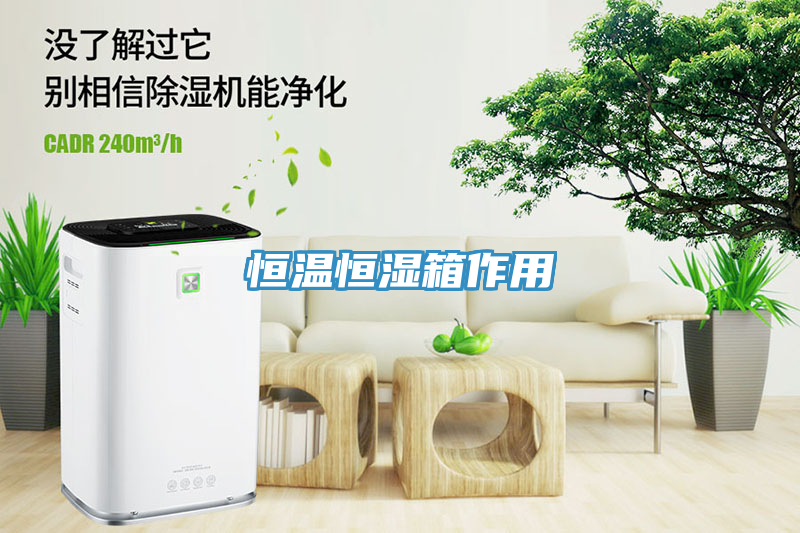 亚洲人成综合第一网站 恒温恒湿箱作用