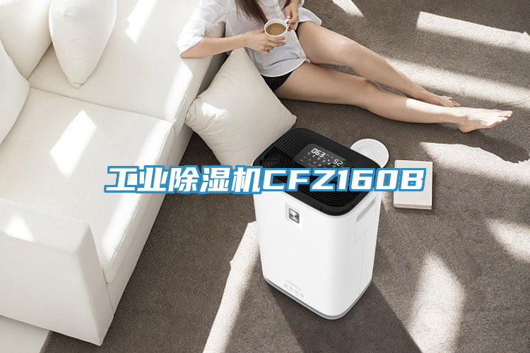 亚洲乱码一区二区三区 工业除湿机CFZ160B