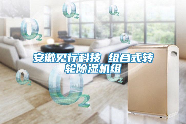 亚洲乱码一区二区三区 安徽见行科技 组合式转轮除湿机组