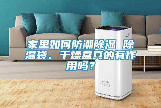 亚洲欧美一级特黄大片 家里如何防潮除湿 除湿袋、干燥盒真的有作用吗？