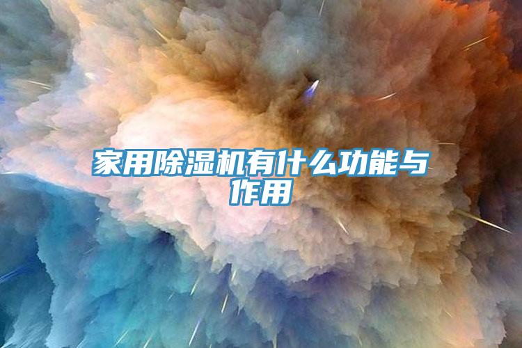亚洲人成综合第一网站 家用除湿机有什么功能与作用