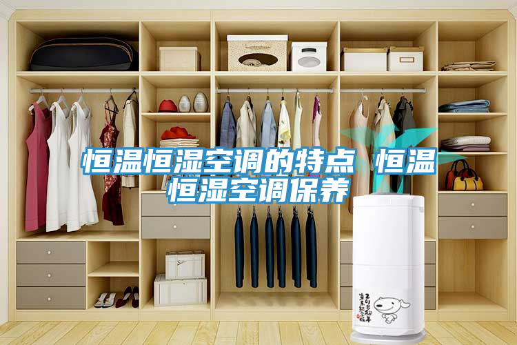 亚洲欧美一级特黄大片 恒温恒湿空调的特点 恒温恒湿空调保养