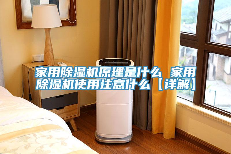 亚洲乱码一区二区三区 家用除湿机原理是什么 家用除湿机使用注意什么【详解】