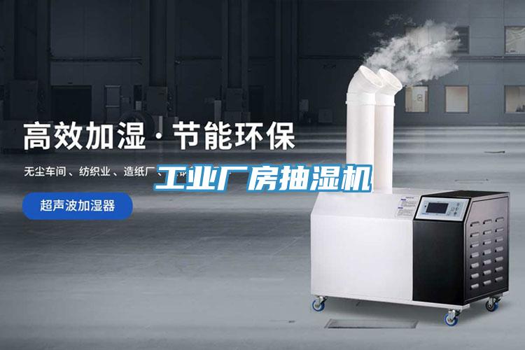 亚洲人成综合第一网站 工业厂房抽湿机