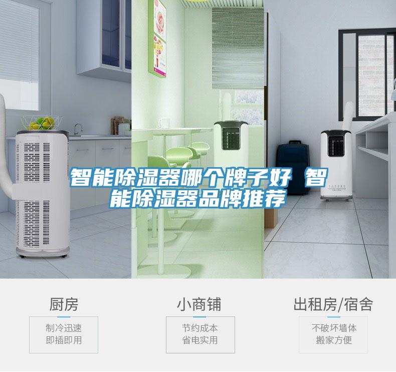 亚洲欧美一级特黄大片 智能除湿器哪个牌子好 智能除湿器品牌推荐
