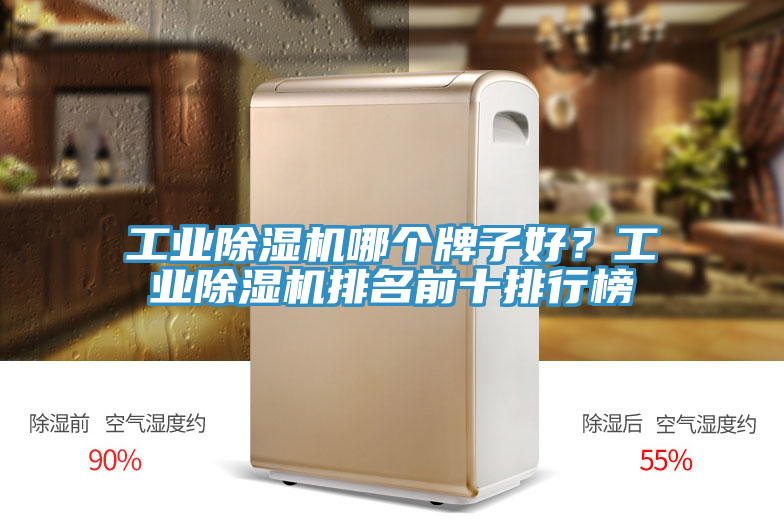 亚洲欧美一级特黄大片 工业除湿机哪个牌子好？工业除湿机排名前十排行榜
