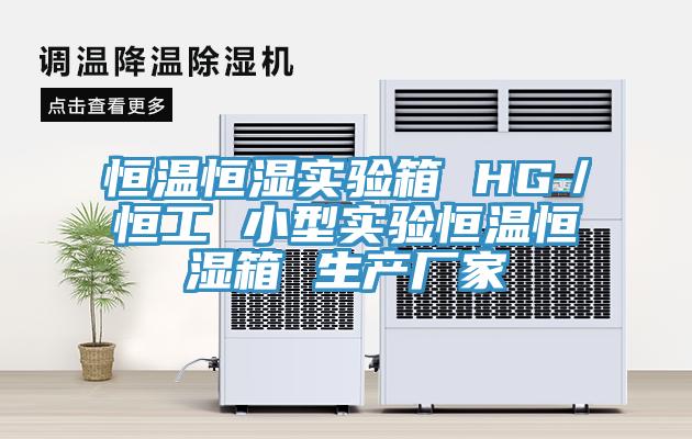 亚洲欧美一级特黄大片 恒温恒湿实验箱 HG／恒工 小型实验恒温恒湿箱 生产厂家