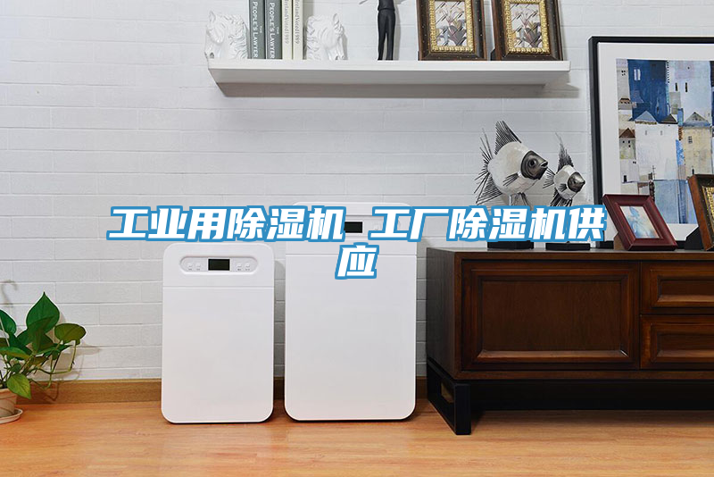 亚洲乱码一区二区三区 工业用除湿机 工厂除湿机供应
