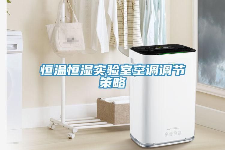 亚洲人成综合第一网站 恒温恒湿实验室空调调节策略