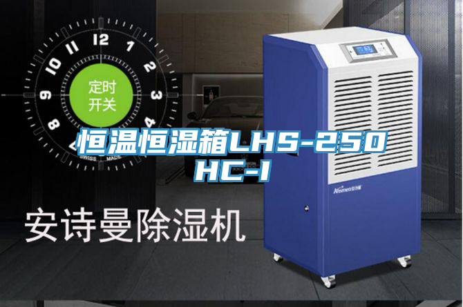 亚洲乱码一区二区三区 恒温恒湿箱LHS-250HC-I