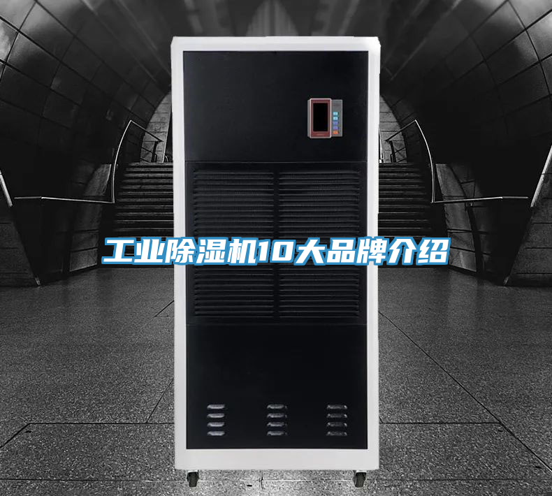 亚洲人成综合第一网站 工业除湿机10大品牌介绍