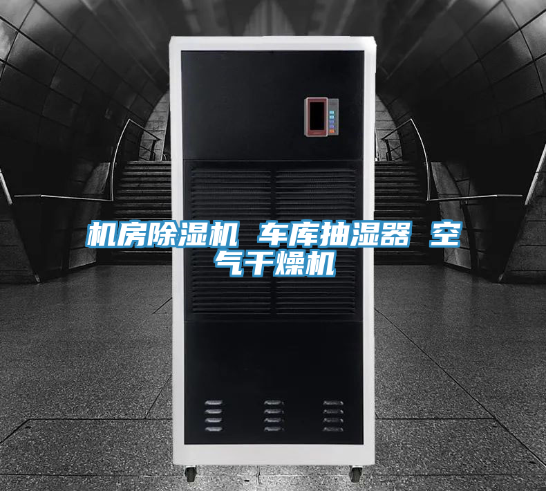 亚洲欧美一级特黄大片 机房除湿机 车库抽湿器 空气干燥机
