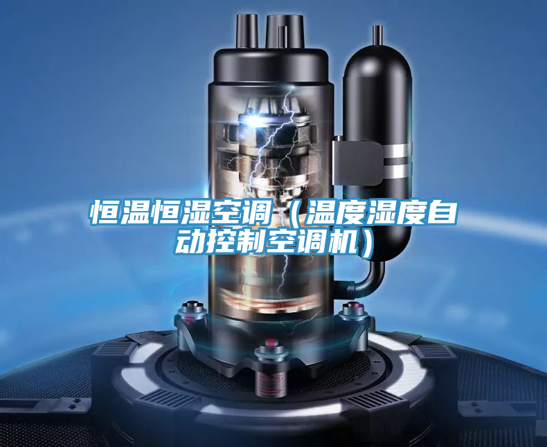 亚洲人成综合第一网站 恒温恒湿空调（温度湿度自动控制空调机）