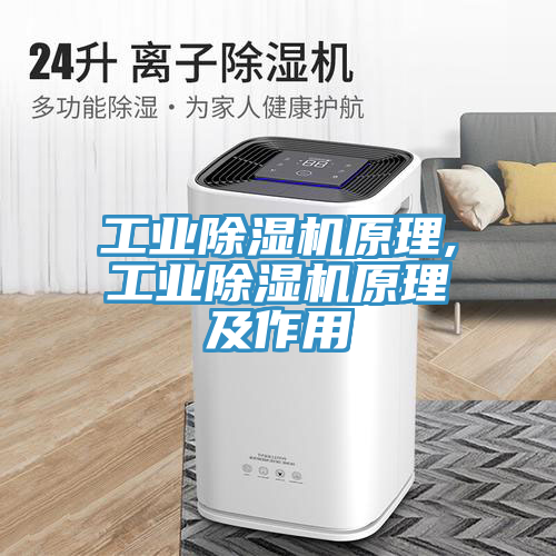 亚洲人成综合第一网站 工业除湿机原理,工业除湿机原理及作用