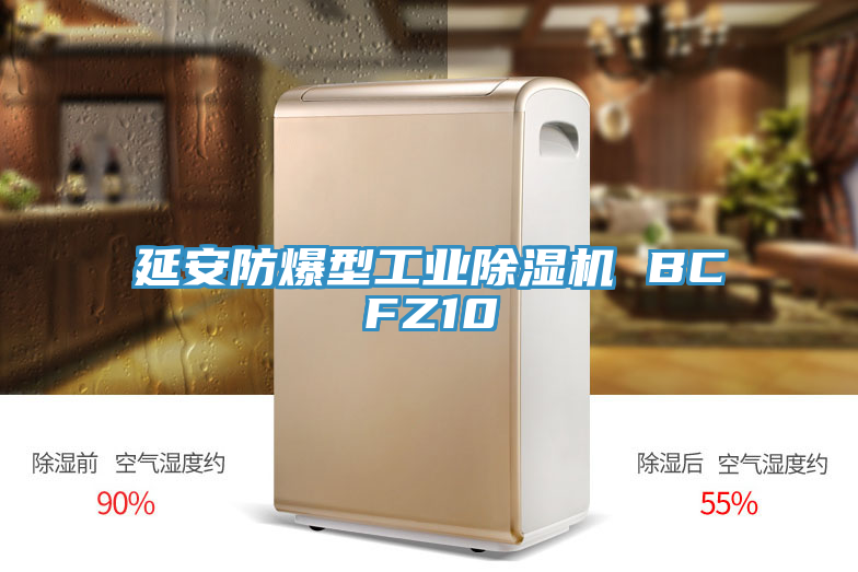 亚洲人成综合第一网站 延安防爆型工业除湿机 BCFZ10