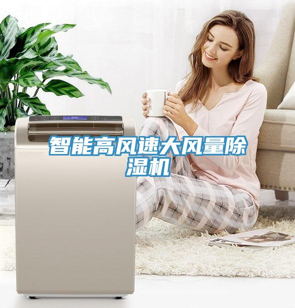 亚洲欧美一级特黄大片 智能高风速大风量除湿机