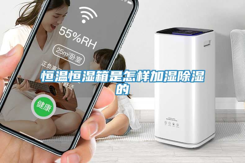 亚洲欧美一级特黄大片 恒温恒湿箱是怎样加湿除湿的