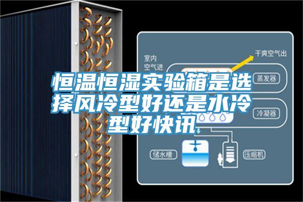 亚洲人成综合第一网站 恒温恒湿实验箱是选择风冷型好还是水冷型好快讯