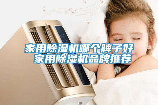 亚洲欧美一级特黄大片 家用除湿机哪个牌子好 家用除湿机品牌推荐