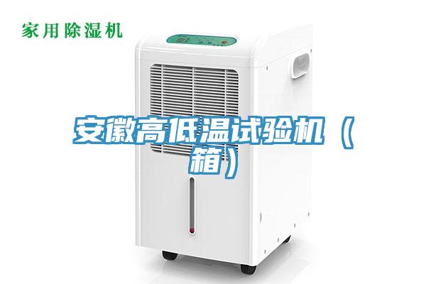 亚洲人成综合第一网站 安徽高低温试验机（箱）