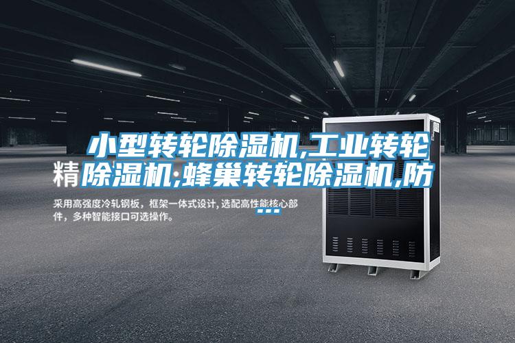 亚洲人成综合第一网站 小型转轮除湿机,工业转轮除湿机,蜂巢转轮除湿机,防 ...