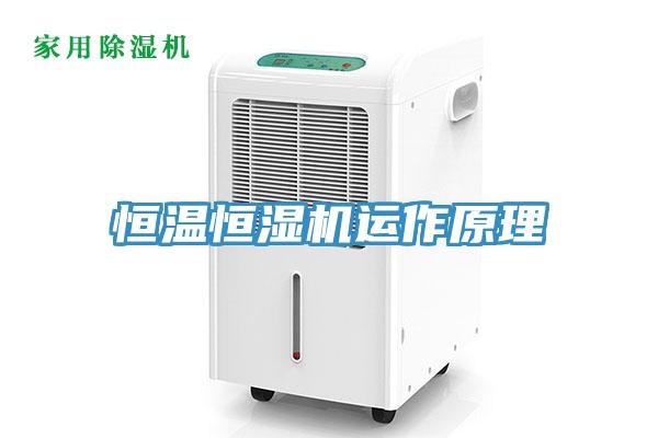 亚洲人成综合第一网站 恒温恒湿机运作原理
