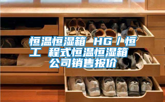 亚洲欧美一级特黄大片 恒温恒湿箱 HG／恒工 程式恒温恒湿箱 公司销售报价