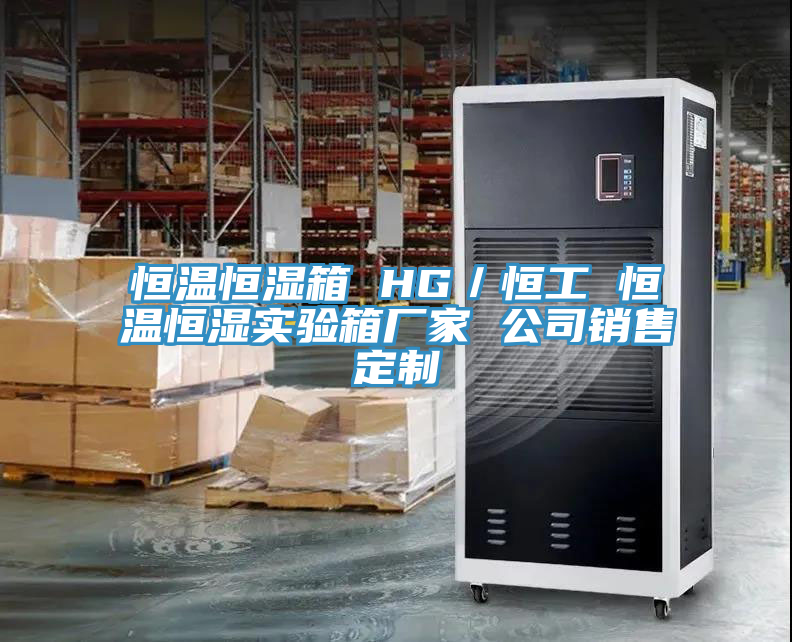 亚洲乱码一区二区三区 恒温恒湿箱 HG／恒工 恒温恒湿实验箱厂家 公司销售定制