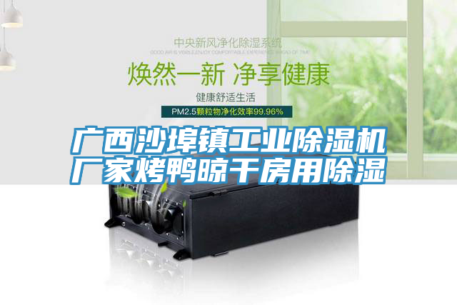 亚洲欧美一级特黄大片 广西沙埠镇工业除湿机厂家烤鸭晾干房用除湿
