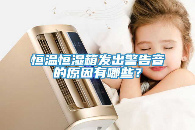 亚洲人成综合第一网站 恒温恒湿箱发出警告音的原因有哪些？