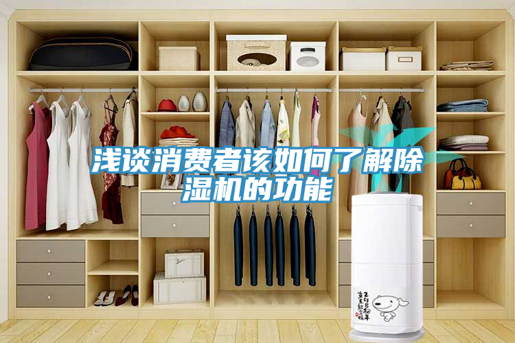 亚洲人成综合第一网站 浅谈消费者该如何了解除湿机的功能