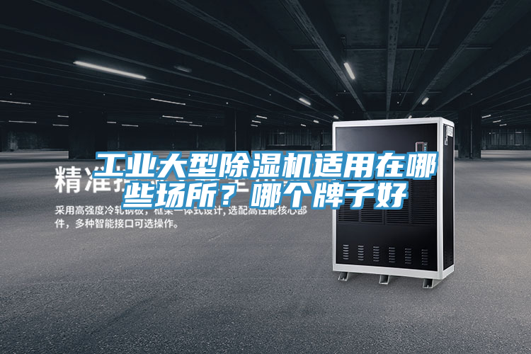 亚洲欧美一级特黄大片 工业大型除湿机适用在哪些场所？哪个牌子好