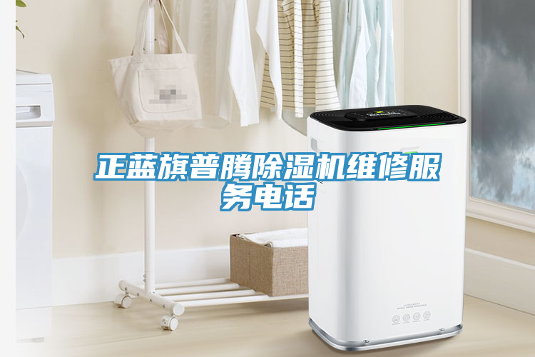 亚洲人成综合第一网站 正蓝旗普腾除湿机维修服务电话