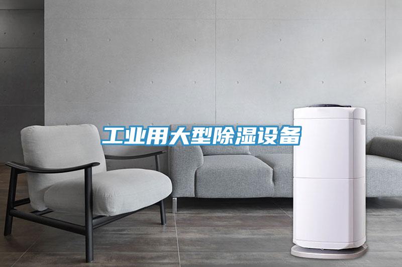 亚洲人成综合第一网站 工业用大型除湿设备