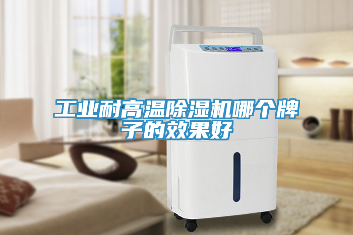 亚洲人成综合第一网站 工业耐高温除湿机哪个牌子的效果好